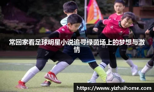 常回家看足球明星小说追寻绿茵场上的梦想与激情